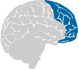 Strategic brain network
