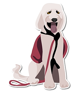 Image of a service animal